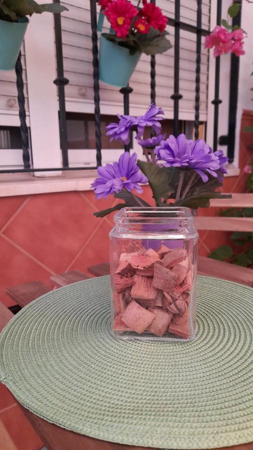 Casa Flamenca Βίλα Castilleja de la Cuesta Εξωτερικό φωτογραφία